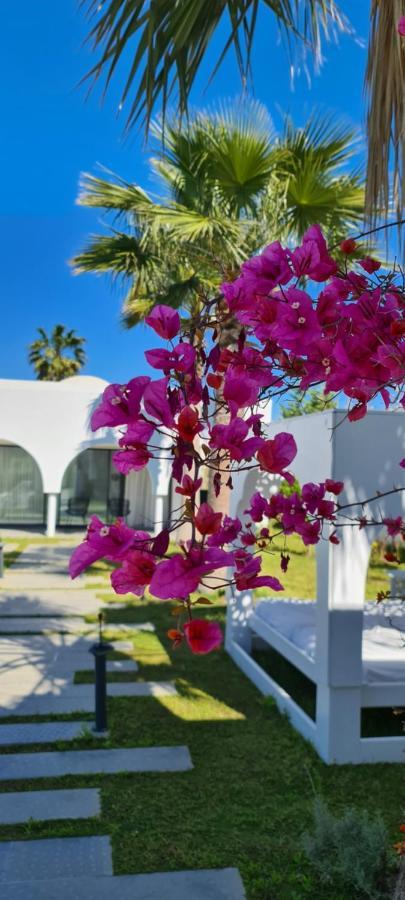 Maison - Dar Ouled Soltane Gammarth Luaran gambar